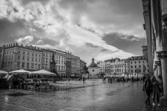DSC_0225_1