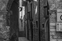 DSC_0008_1